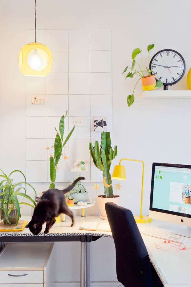 1-decoracao-com-plantas-pet-animais-de-estimacao-mesa-de-escritorio